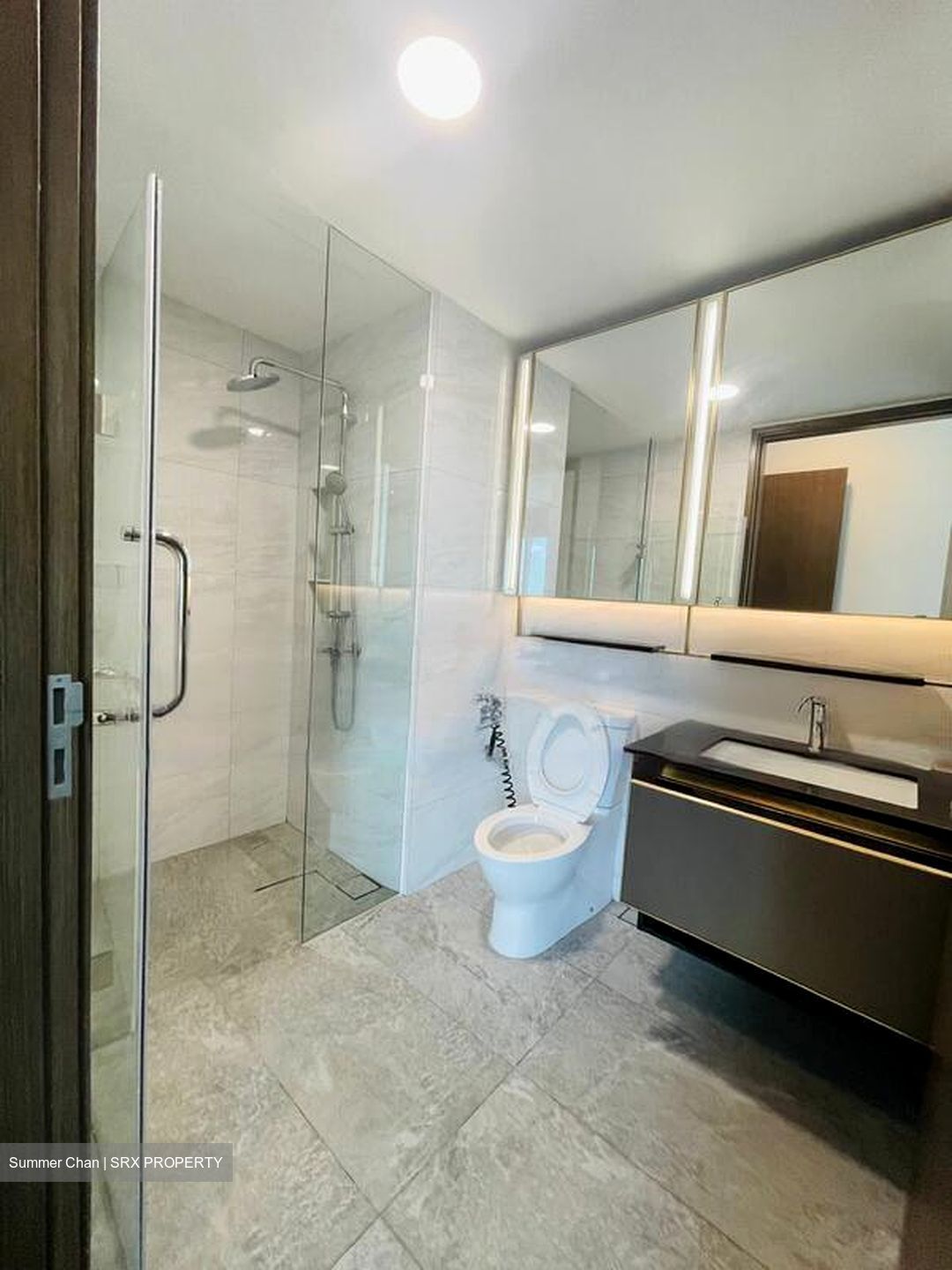 Normanton Park (D5), Apartment #467009481